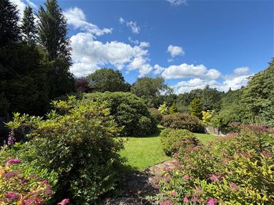 Picture 21
